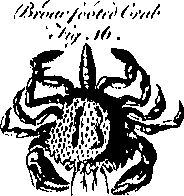 061/061930010201430_0.png