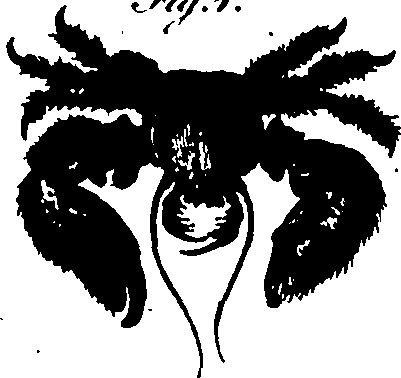 061/061930010201430_5.png