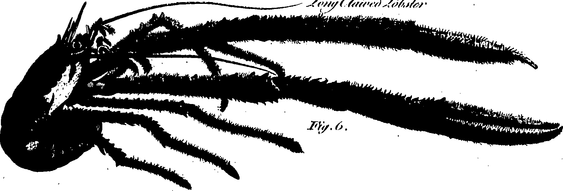 061/061930010201440_0.png