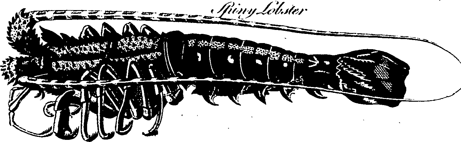 061/061930010201440_2.png