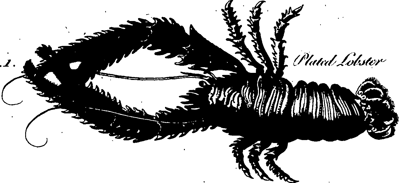 061/061930010201440_3.png