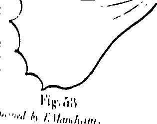 061/061930010201470_0.png