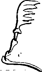 061/061930010201470_3.png