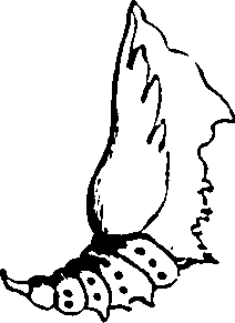 061/061930010201470_4.png