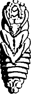 061/061930010201470_5.png