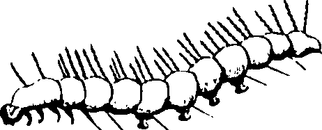 061/061930010201470_6.png