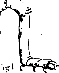 061/061930010201470_7.png