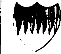 061/061930010204460_19.png