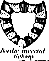 061/061930010204470_0.png
