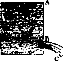 061/061930010204690_2.png