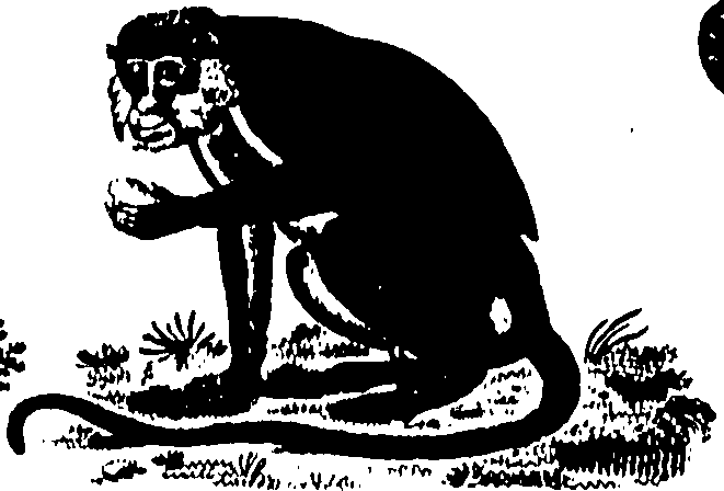 061/061930010205610_0.png