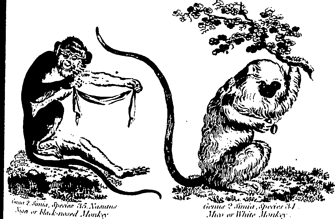 061/061930010205610_1.png