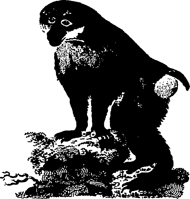 061/061930010205610_2.png