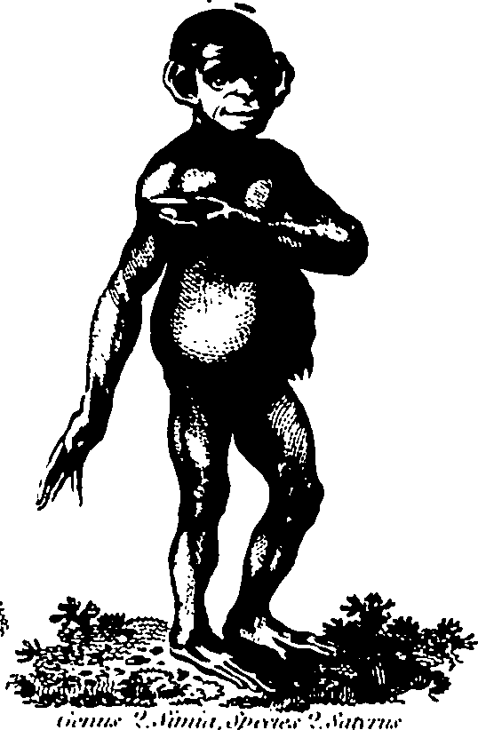 061/061930010205610_3.png