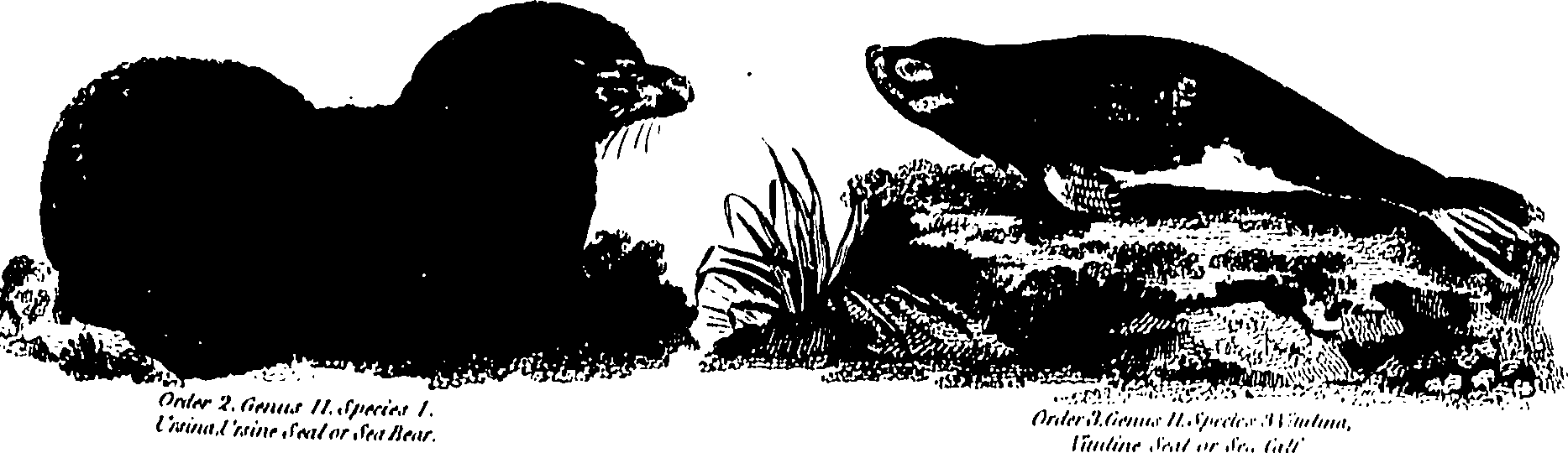 061/061930010205620_0.png