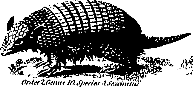061/061930010205620_1.png