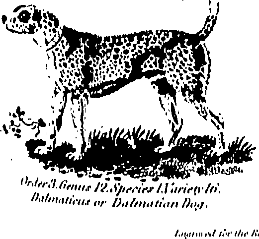 061/061930010205630_0.png