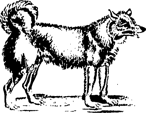 061/061930010205630_1.png
