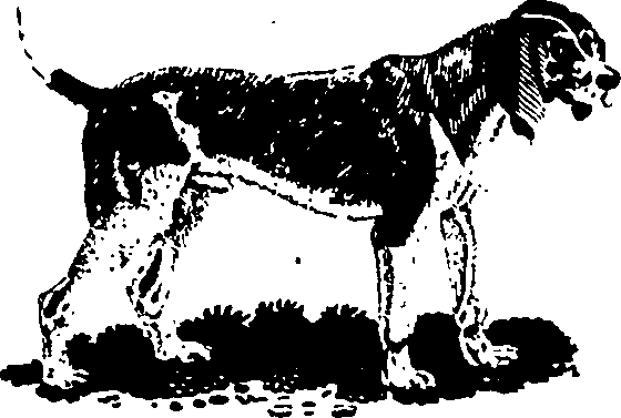 061/061930010205630_10.png