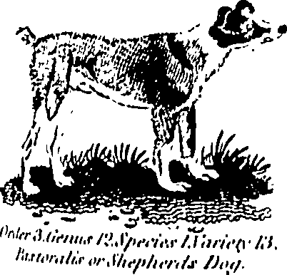 061/061930010205630_2.png