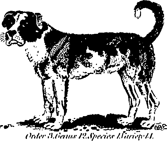 061/061930010205630_3.png