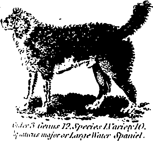 061/061930010205630_4.png