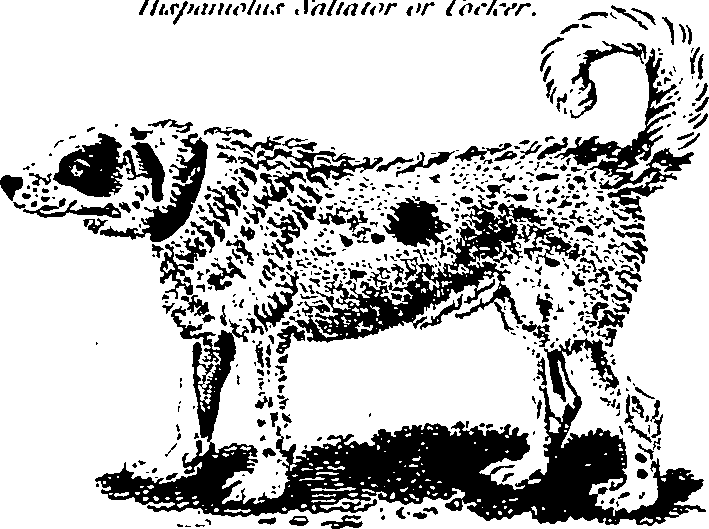 061/061930010205630_5.png