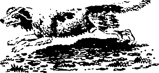 061/061930010205630_6.png