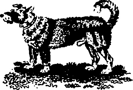 061/061930010205630_7.png