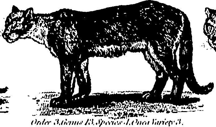 061/061930010205640_1.png