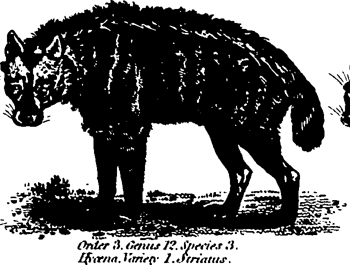 061/061930010205640_3.png