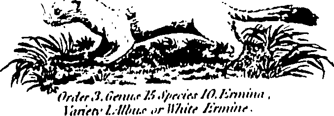 061/061930010205650_0.png