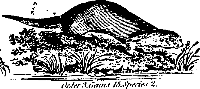 061/061930010205650_2.png