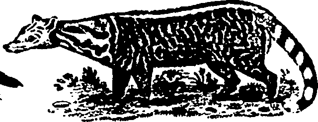 061/061930010205650_3.png