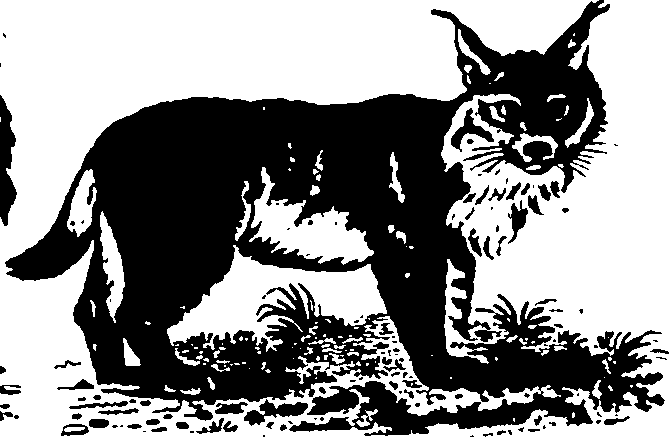 061/061930010205650_4.png