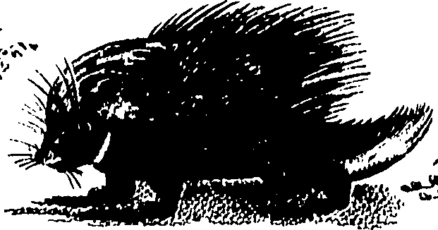 061/061930010205660_0.png