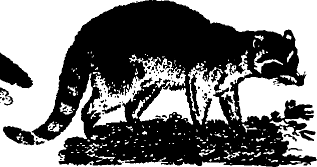 061/061930010205660_4.png