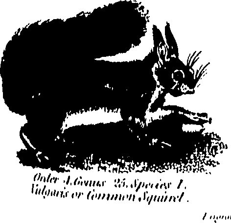 061/061930010205670_0.png