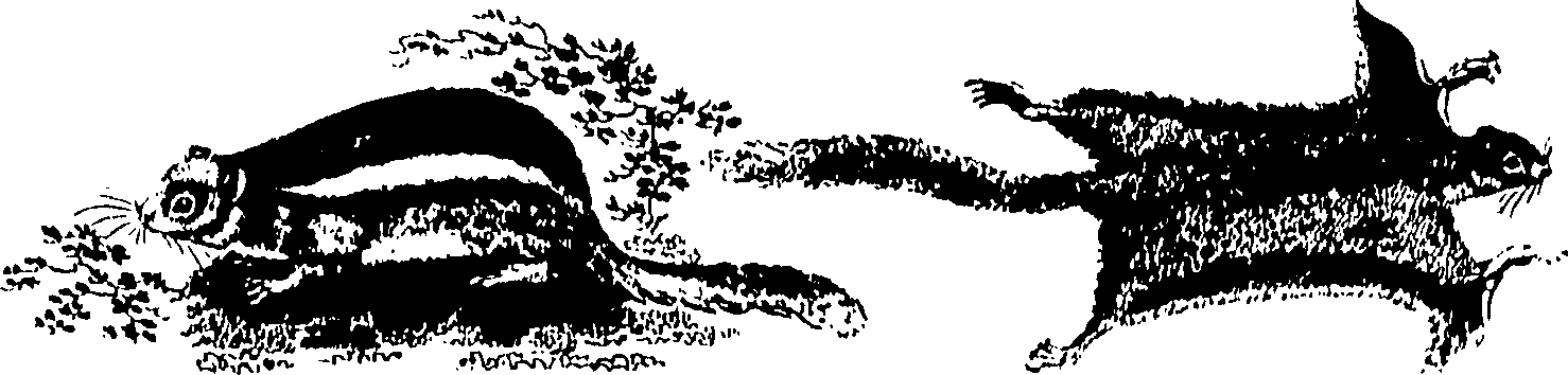 061/061930010205670_1.png