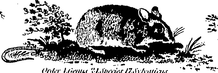 061/061930010205670_2.png
