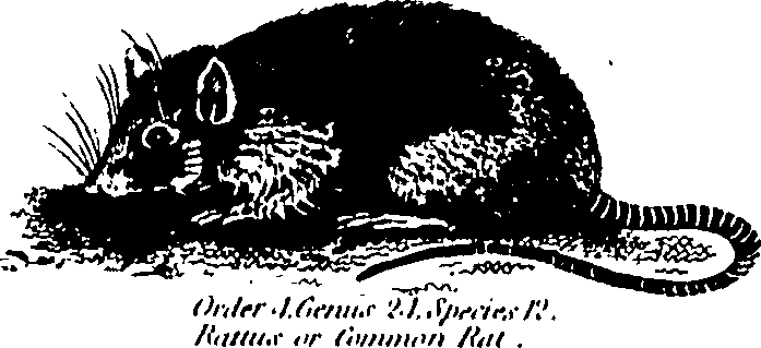 061/061930010205670_3.png
