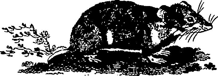 061/061930010205670_4.png