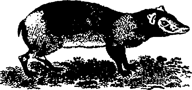 061/061930010205670_6.png