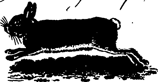 061/061930010205670_8.png