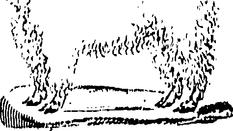 061/061930010205680_0.png