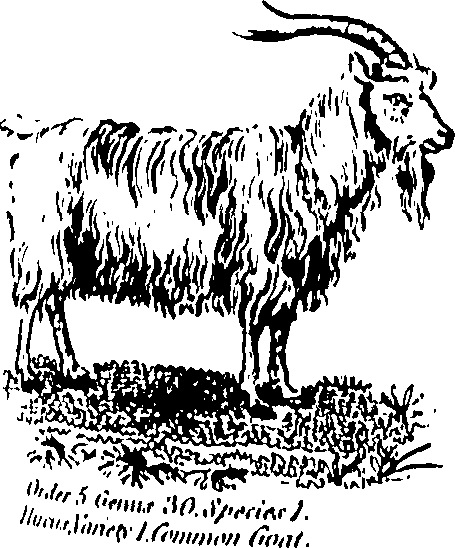 061/061930010205680_1.png
