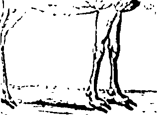 061/061930010205680_2.png