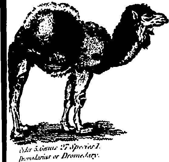 061/061930010205680_5.png