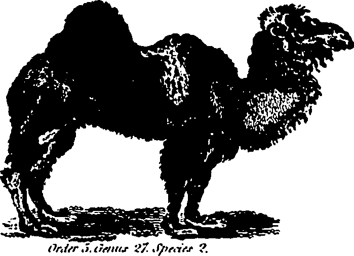 061/061930010205680_6.png