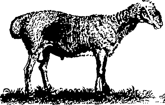061/061930010205690_0.png